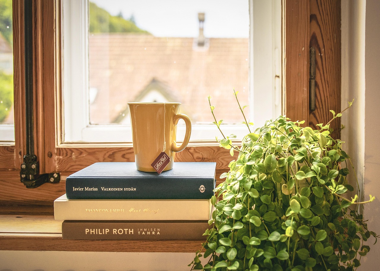 Retrofit or Full Frame: Two Ways Windows Go Into a Riverside Home