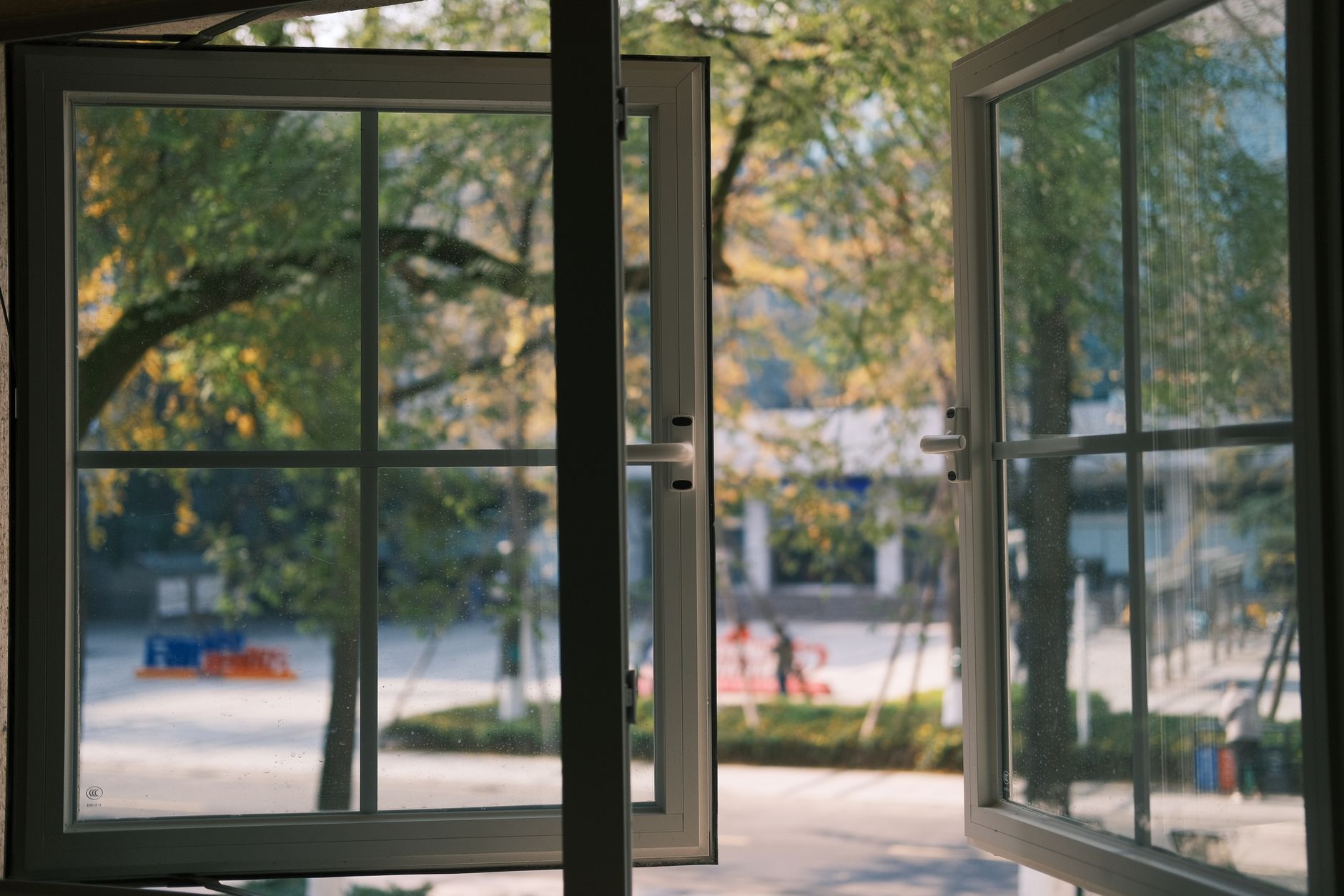 A serene view through an open window, showcasing green trees and bright light, capturing a tranquil in Riverside, CA
